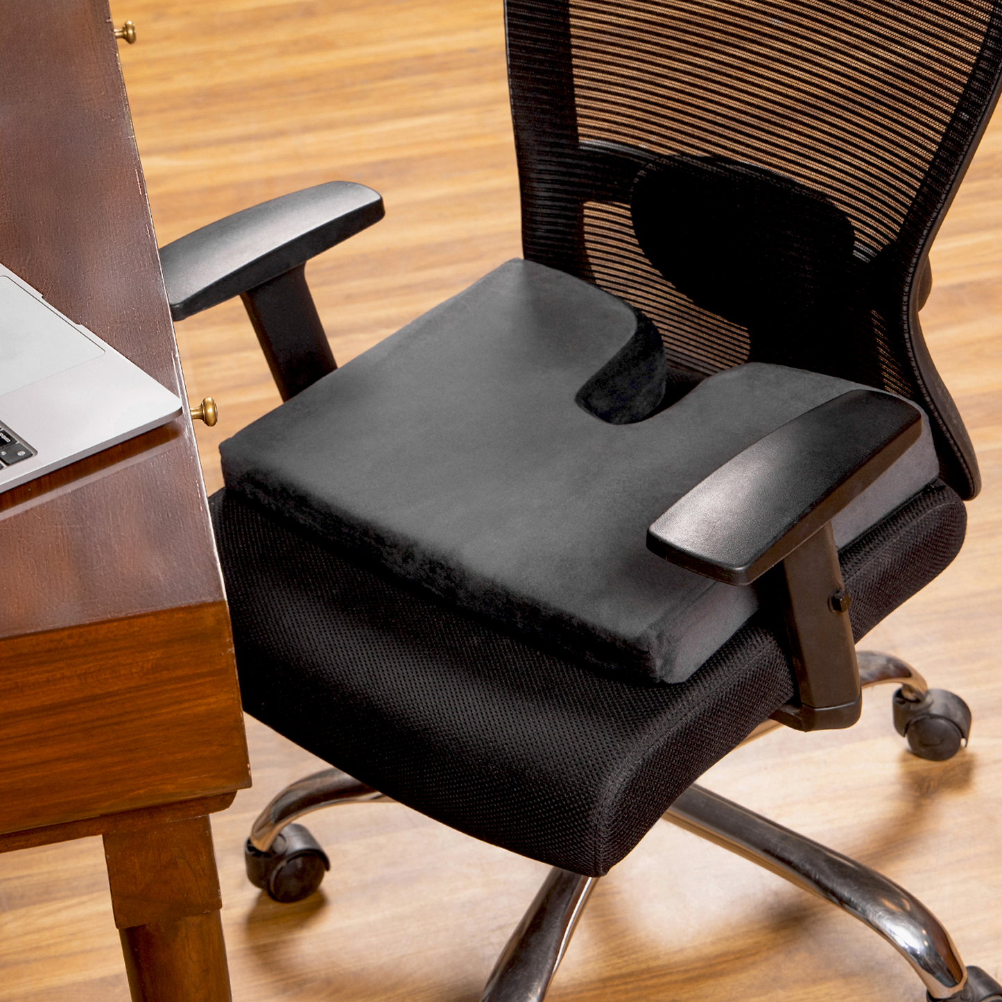 Cocyx Tailbone Cushion