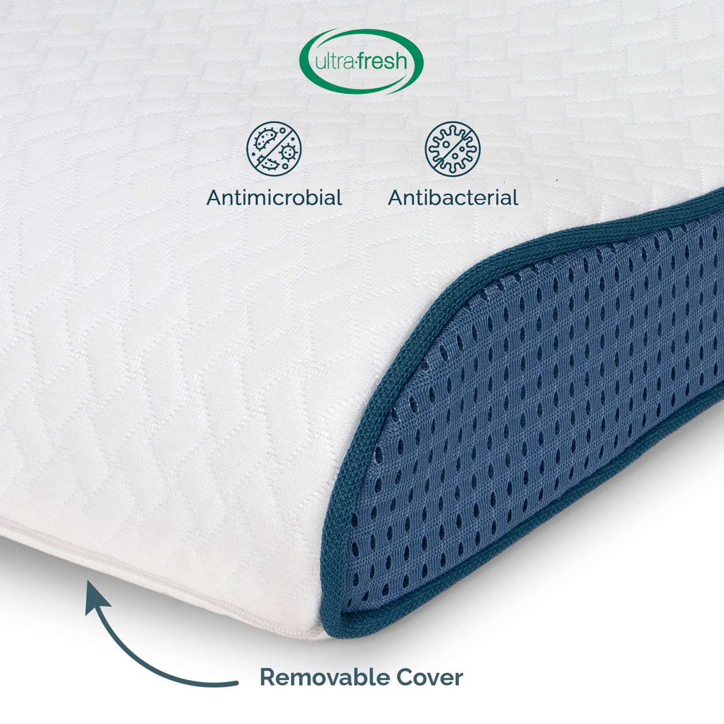 Memory Contour Pillow