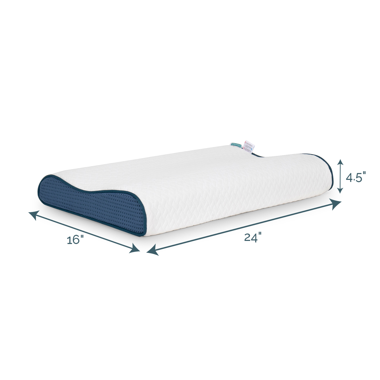 Memory Contour Pillow