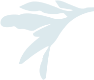 Right Icon