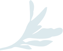 Left Icon